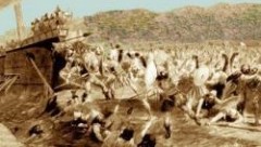 Ελληνική έκθεση για τα 2.500 χρόνια της Μάχης του Μαραθώνα στο Δημαρχείο Βιέννης